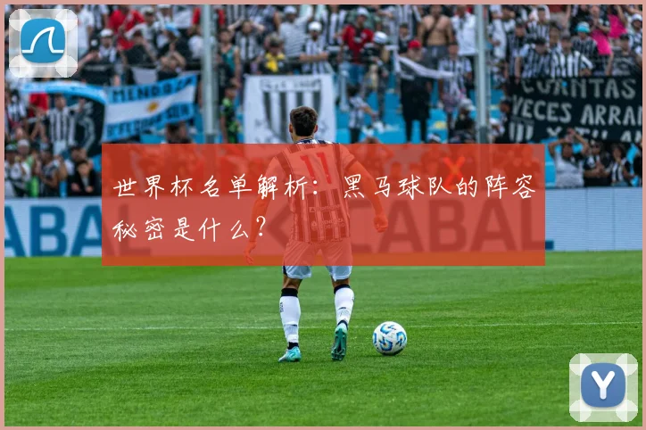 世界杯名单解析:黑马球队的阵容秘密是什么?