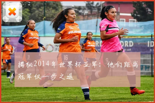 揭秘2014年世界杯亚军：他们距离冠军仅一步之遥