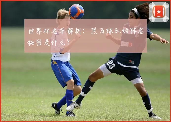 世界杯名单解析:黑马球队的阵容秘密是什么?