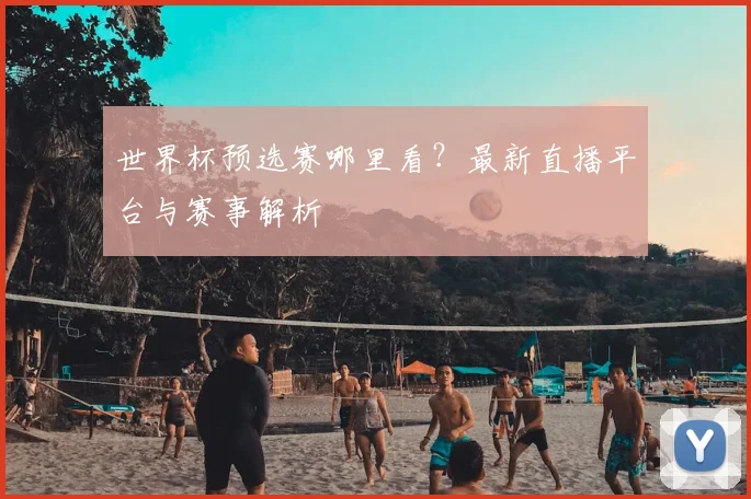 世界杯预选赛哪里看？最新直播平台与赛事解析