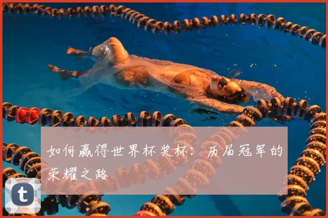 如何赢得世界杯奖杯:历届冠军的荣耀之路