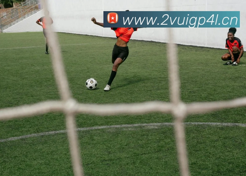 mk中国官方官网发展历程